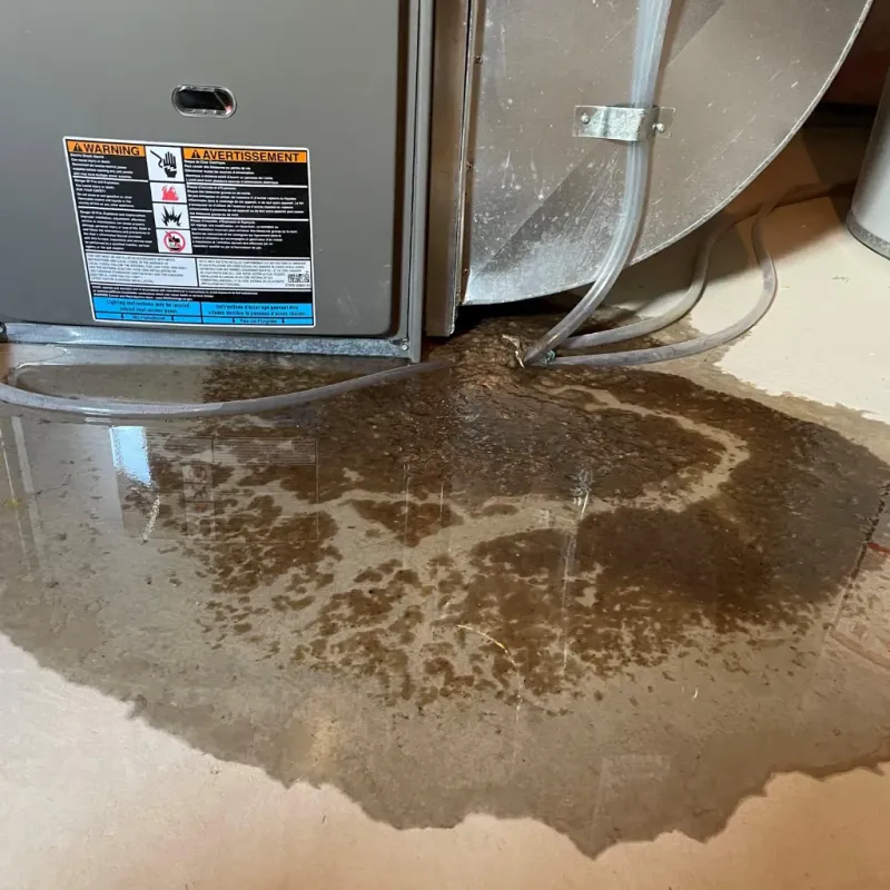 Appliance Leak Cleanup in Center, CO