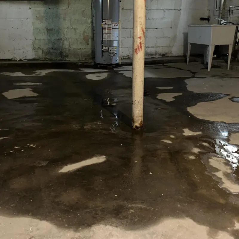 Emergency Water Extraction And Removal in Center, CO